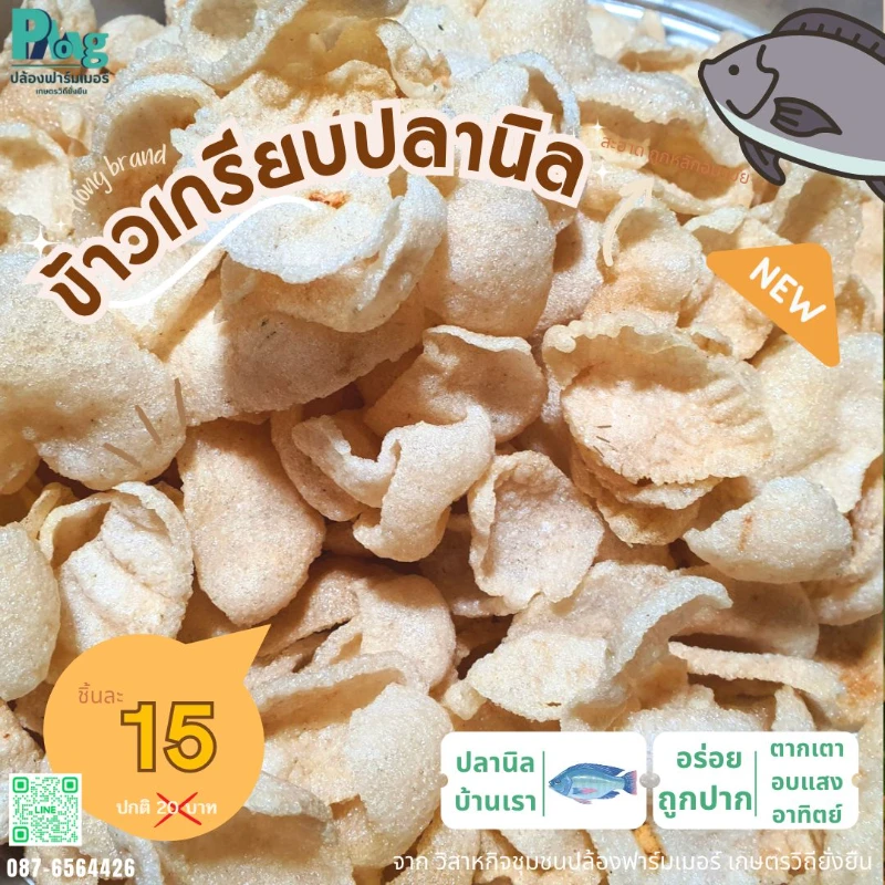 catalogs_file_285_42_23_343126.webp