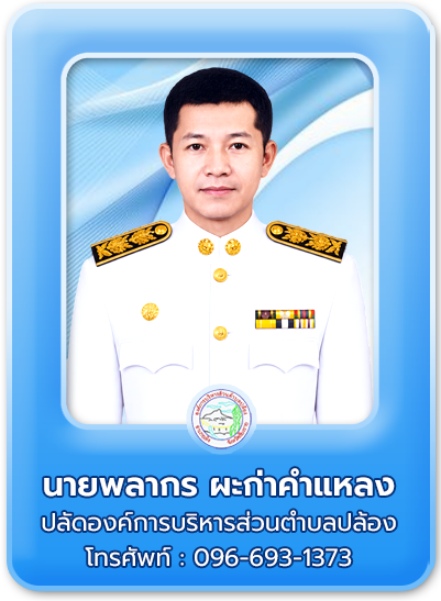 ปลัด
